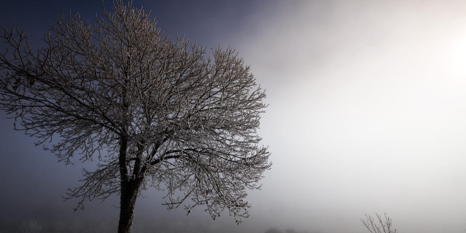Frio traz novo recorde no consumo diário de energia
